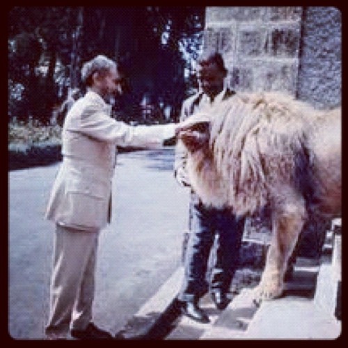 All hail the KING! #dope  (Taken with instagram) adult photos