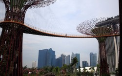 inothernews:  Singapore’s botanical attraction, Gardens By The Bay, features two “Supertrees” — vertical hanging gardens that stand about 50 meters tall and are connected by a walkway. The Gardens formally open in June. Neat! (Photos: Wong Maye-E