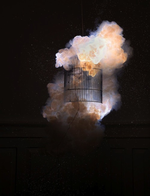 Daniele Kaehr And Joschi Herczeg Created These Stills Of The First Moments Of Explosions. Shutter Speed:
