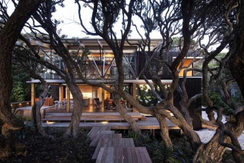 cabbagerose:under pohutukawa house/herbst architectsvia: contemporist