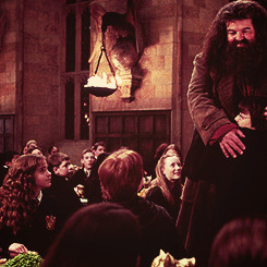 the-mister-lestrange:  Harry Potter throughout the years. 
