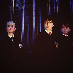 the-mister-lestrange:  Harry Potter throughout the years. 