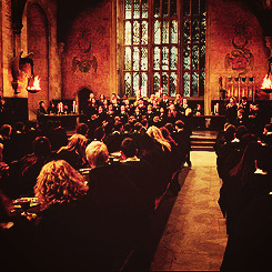 the-mister-lestrange:  Harry Potter throughout the years. 