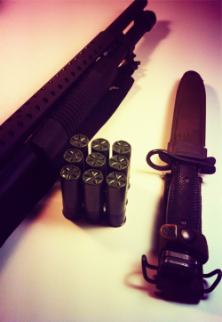 fmj556x45:  fmj556x45:  Mossberg 590 9 rounds