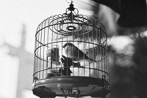 randage.tumblr.com/post/23562799244/