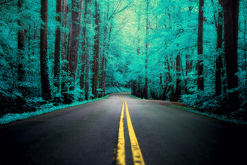 On The Move