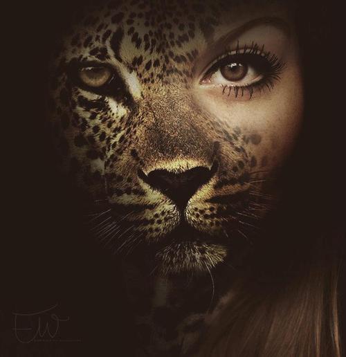 Wow best picture ever !!!