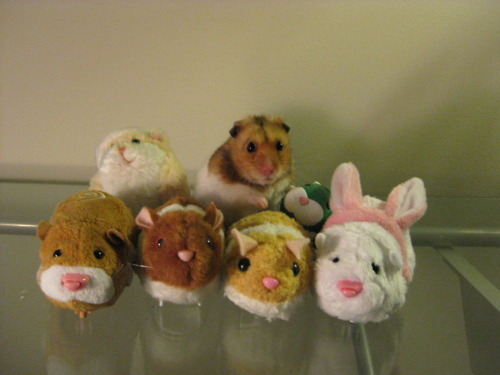 squishycritters:  cute animals with stuffed toys of themselves. 
