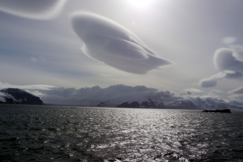 Lenticular clouds. 