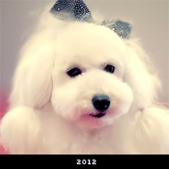  Romeo in 2009 and 2012 