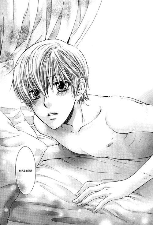 Sinful Paradise