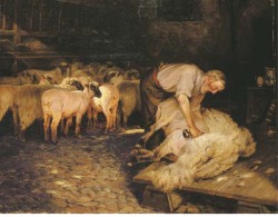 poboh:  The shearer, Wright Barker. English (1864 - 1941) 