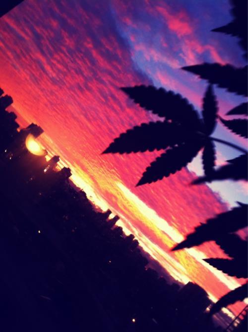 tumblr photo se-movimenta 0