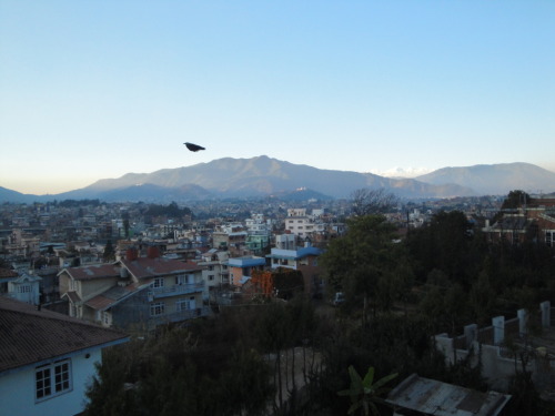 Crow over Kathmandu&hellip;..another life Source: Zacapatista (2009)