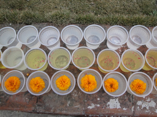 Flowers, saffron, water&hellip;..offerings @ Boudanath stupa Source: Zacapatista (2009)