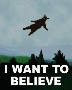 knowyourmeme:  I believe he can fly. KYMdb - Tranquilized Sky Bear 