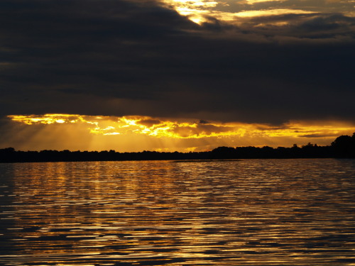 Sunset on a tributary of the Amazon&hellip;como&hellip;fuego! Source: Zacapatista (2007)