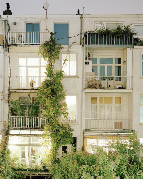 suedeskins - Rear Window, by Jordi Huisman