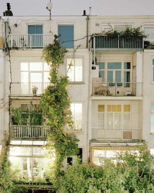 suedeskins:  Rear Window, by Jordi Huisman
