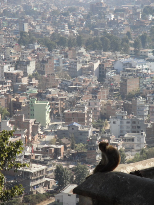 Dude pay homage…I’m the king of this dusty city…Swayambunath temple, Kathmandu, 