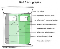 Nevver:  Bed Cartography 