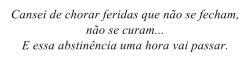 Diário de uma vadia