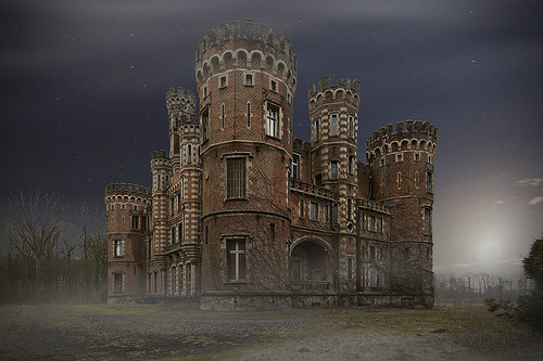 bluepueblo:  Abandoned Castle, Germany photo via tristan 