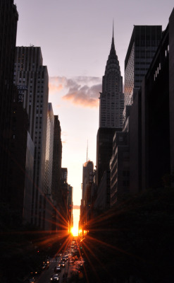 weshallneverstop:  Manhattanhenge, Tudor