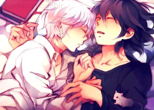:  ameiro 