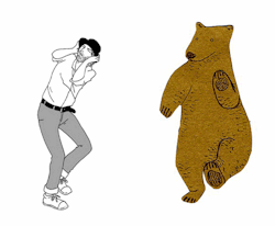bear dick