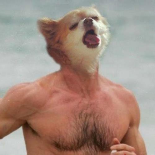 tenkaistar:  muy sexy. 
