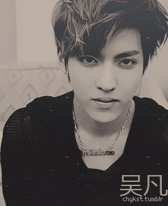 ckykst:                                                吴凡 Kris EXO-M ♡                                                FOLLOW ME PLZ                              