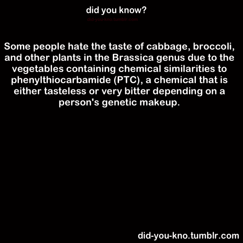 did-you-kno:  Source