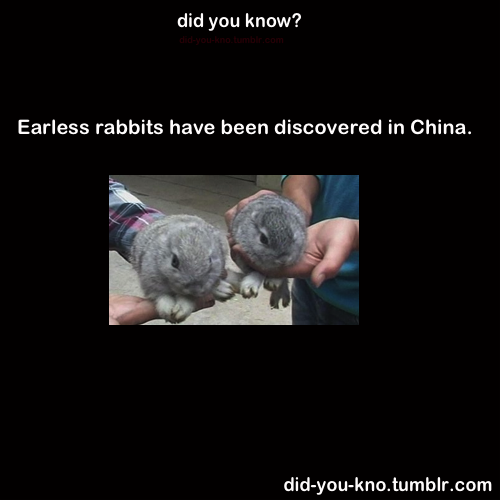 did-you-kno:  Source