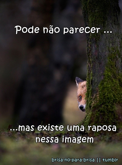 Venha Rir