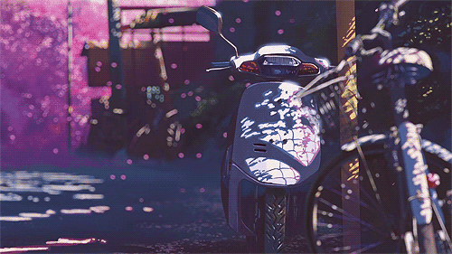  The speed at which cherry blossoms fall. It's five centimetres per second.     