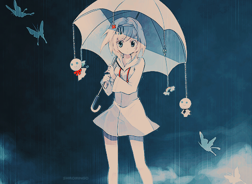 shiroiringo:  ✩ ; ❀ 