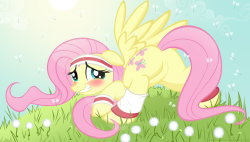 Every Pony Deserves Love