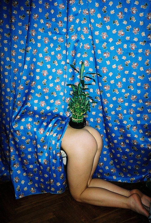 forages:  Sasha Kurmaz 