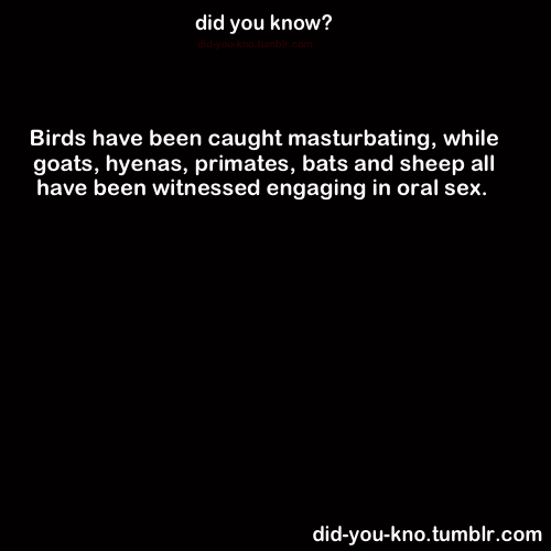 did-you-kno:  Source