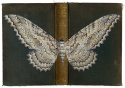 awritersruminations:  Rose Sanderson - Wings of Freedom, from the “Bugs on Book Covers” series (via flavorwire) 