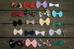 naamallama:  freshazme:  bowtiesss  The BowTies «&lt; like my facebook band page guise! :)