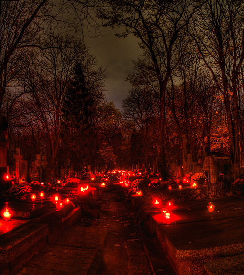 littlepawz:All Souls Day- November 2nd. European cemetery blaze with candles on the graves of the dearly departed