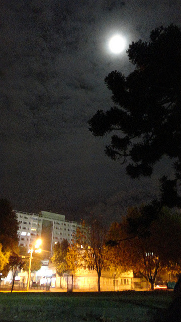lawueamistica:  no me canso de reblogiar mi foto por que la tome mas oscuro que la chucha xd, el iso al maximo, salio buena creo yo :3 eso fue en el parque ecuador de conce estaba con la meli 1313 La magia el iso <3  