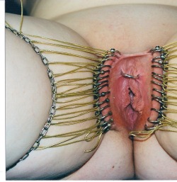 pussymodsgalore  28 piercings with rings