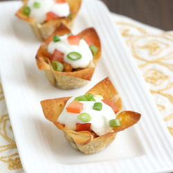 skytropic:  Mini Chicken Taco Cupswonton cups from Ellie Krieger, otherwise TCA original{Note: The recipe calls for just a little bit of crushed tomato. You could definitely use canned, but I didn’t want to open a whole can just for a small amount