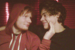 dickrection-blog:  harry styles and ed sheeran