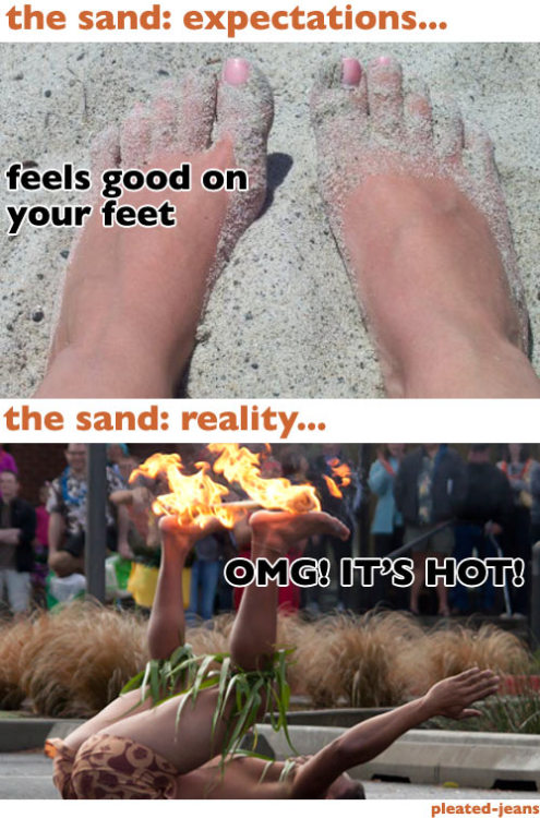 the-absolute-funniest-posts:  Follow this blog, you will love it on your dashboard