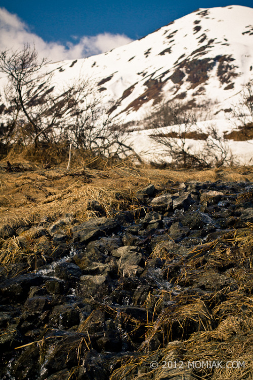 All of the snow is finally melted from our yard, and it&rsquo;s finally starting to melt a bit up at