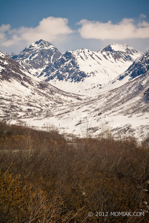 All of the snow is finally melted from our yard, and it’s finally starting to melt a bit up at